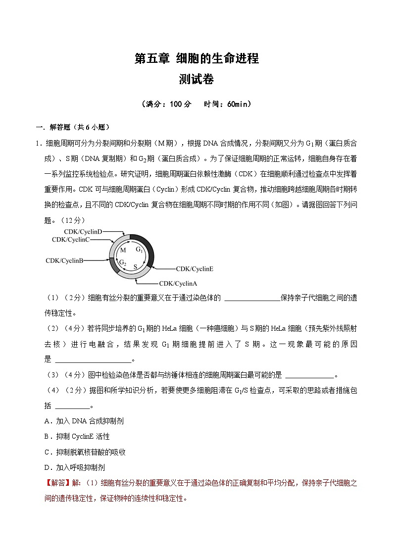 【沪科技版】生物必修一  第5章 细胞的生命进程（单元测试卷+知识清单）01