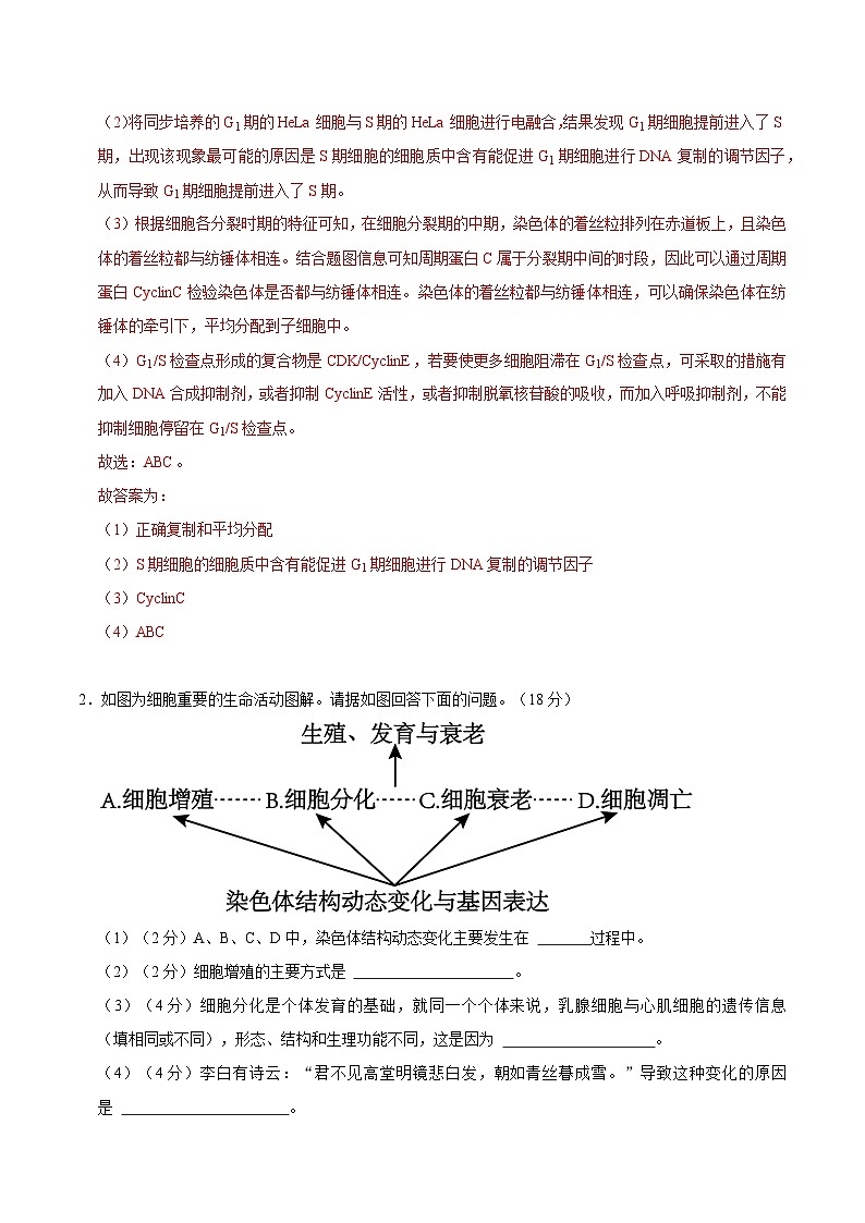 【沪科技版】生物必修一  第5章 细胞的生命进程（单元测试卷+知识清单）02