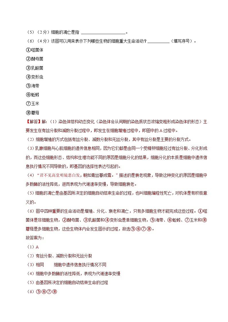 【沪科技版】生物必修一  第5章 细胞的生命进程（单元测试卷+知识清单）03