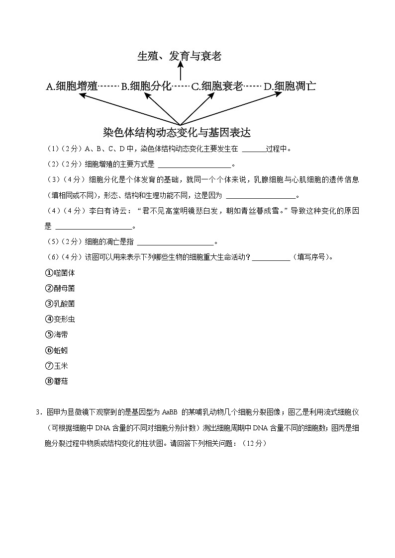 【沪科技版】生物必修一  第5章 细胞的生命进程（单元测试卷+知识清单）02