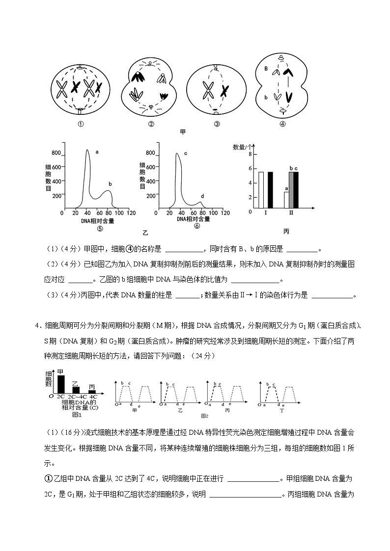 【沪科技版】生物必修一  第5章 细胞的生命进程（单元测试卷+知识清单）03