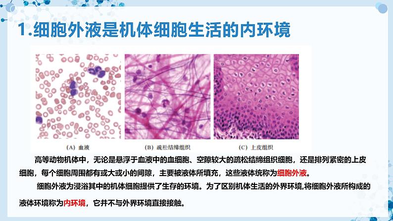 【沪科技版】生物选修一 1.1 内环境是机体细胞赖以生存的环境（课件）第4页