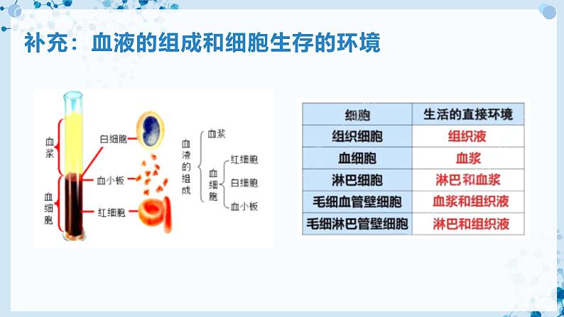 【沪科技版】生物选修一 1.1 内环境是机体细胞赖以生存的环境（课件）第8页