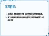 【沪科技版】生物选修一 1.2 内环境稳态是机体细胞生命活动的保障（课件）