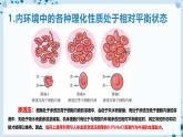 【沪科技版】生物选修一 1.2 内环境稳态是机体细胞生命活动的保障（课件）