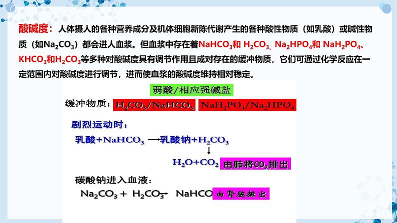 【沪科技版】生物选修一 1.2 内环境稳态是机体细胞生命活动的保障（课件）第7页