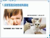 【沪科技版】生物选修一 2.1 反射是神经调节的基本方式（课件）