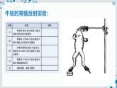 【沪科技版】生物选修一 2.1 反射是神经调节的基本方式（课件）