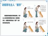 【沪科技版】生物选修一 2.4 条件反射是大脑的高级调节功能（课件）