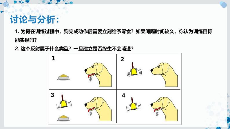 【沪科技版】生物选修一 2.4 条件反射是大脑的高级调节功能（课件）05