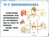 【沪科技版】生物选修一 3.1 激素调节是体液调节的主要形式（课件）