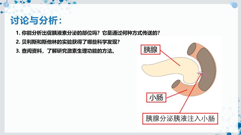 【沪科技版】生物选修一 3.1 激素调节是体液调节的主要形式（课件）第5页