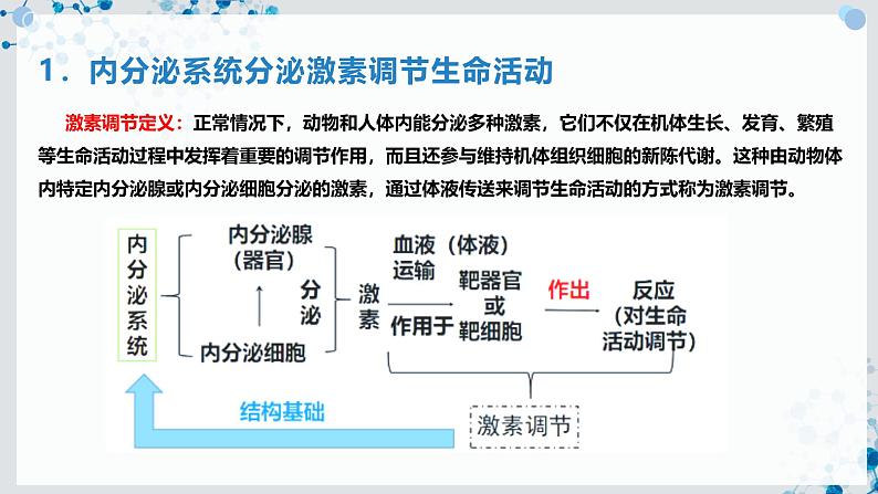 【沪科技版】生物选修一 3.1 激素调节是体液调节的主要形式（课件）第6页