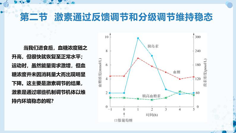 【沪科技版】生物选修一 3.2 激素通过反馈调节和分级调节维持稳态（课件）02