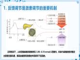 【沪科技版】生物选修一 3.2 激素通过反馈调节和分级调节维持稳态（课件）