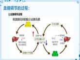 【沪科技版】生物选修一 3.2 激素通过反馈调节和分级调节维持稳态（课件）