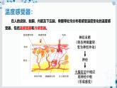 【沪科技版】生物选修一 3.3 神经调节与体液调节共同维持稳态（课件）