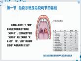 【沪科技版】生物选修一 4.1 免疫系统是免疫调节的基础（课件）