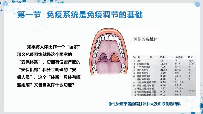 【沪科技版】生物选修一 4.1 免疫系统是免疫调节的基础（课件）02