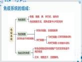 【沪科技版】生物选修一 4.1 免疫系统是免疫调节的基础（课件）