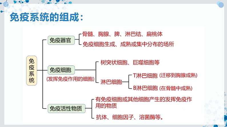 【沪科技版】生物选修一 4.1 免疫系统是免疫调节的基础（课件）05