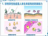 【沪科技版】生物选修一 4.2 免疫系统具有防御功能（课件）