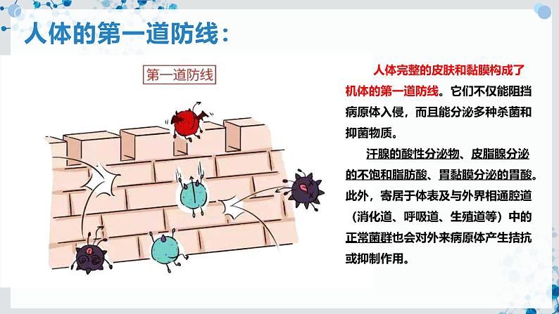 【沪科技版】生物选修一 4.2 免疫系统具有防御功能（课件）第5页