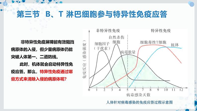 【沪科技版】生物选修一 4.3 B、T 淋巴细胞参与特异性免疫应答（课件）第2页