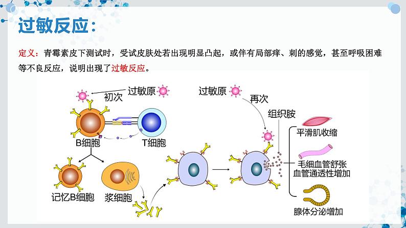 【沪科技版】生物选修一 4.4 免疫功能异常引发的疾病（课件）05