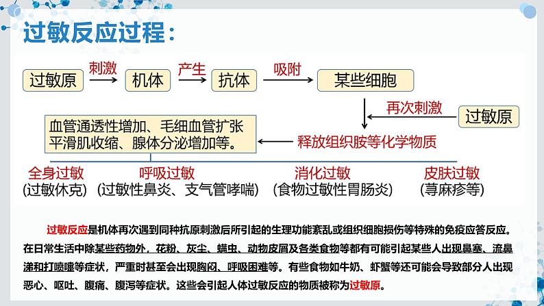 【沪科技版】生物选修一 4.4 免疫功能异常引发的疾病（课件）06