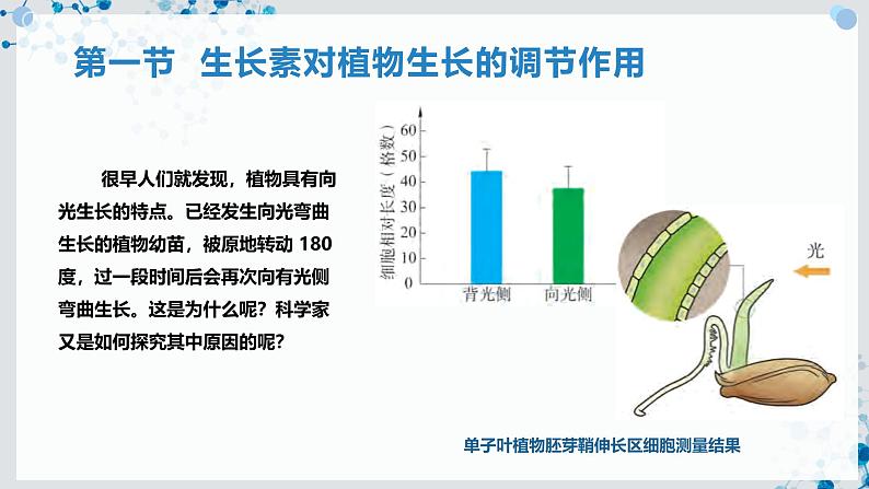 【沪科技版】生物选修一 5.1 生长素对植物生长的调节作用（课件）02