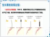 【沪科技版】生物选修一 5.1 生长素对植物生长的调节作用（课件）