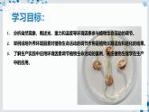 【沪科技版】生物选修一 5.3 环境因素参与植物生命活动的调节（课件）
