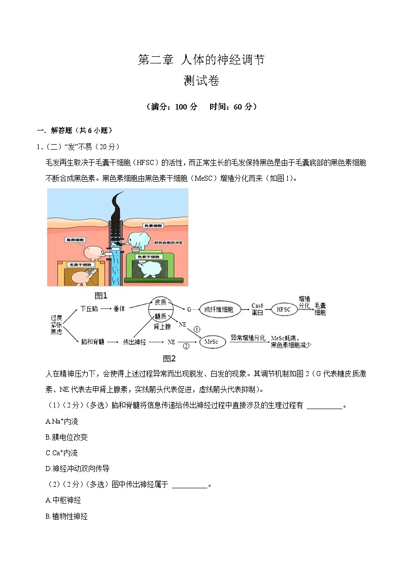 【沪科技版】生物选修一 第2章 人体的神经调节（章末测试+知识清单）01