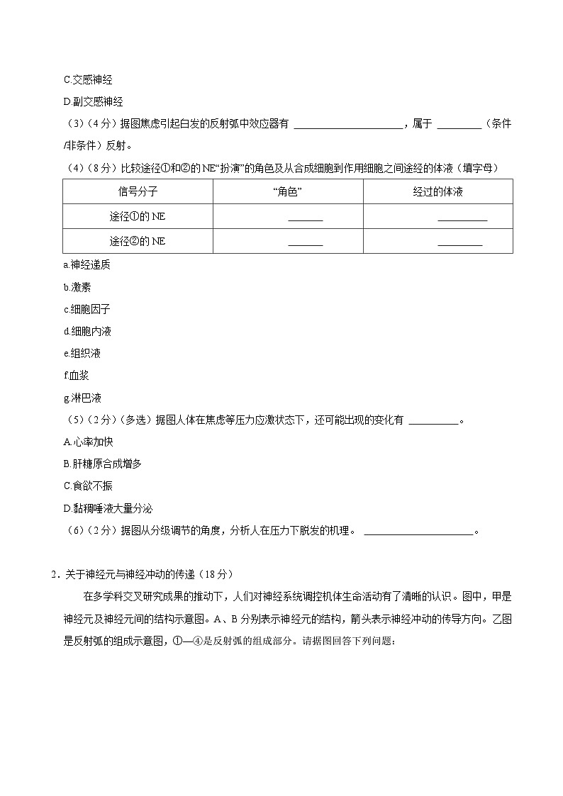 【沪科技版】生物选修一 第2章 人体的神经调节（章末测试+知识清单）02