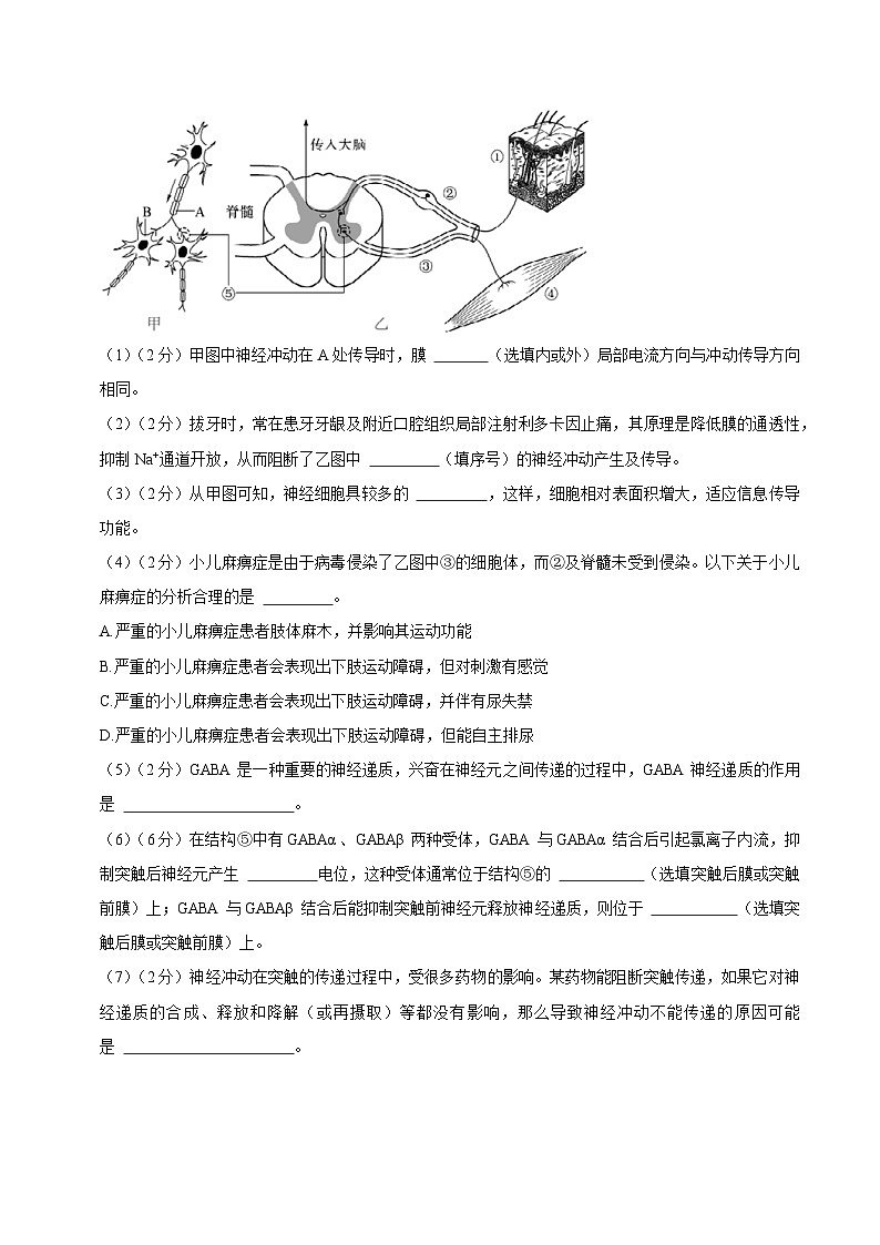 【沪科技版】生物选修一 第2章 人体的神经调节（章末测试+知识清单）03