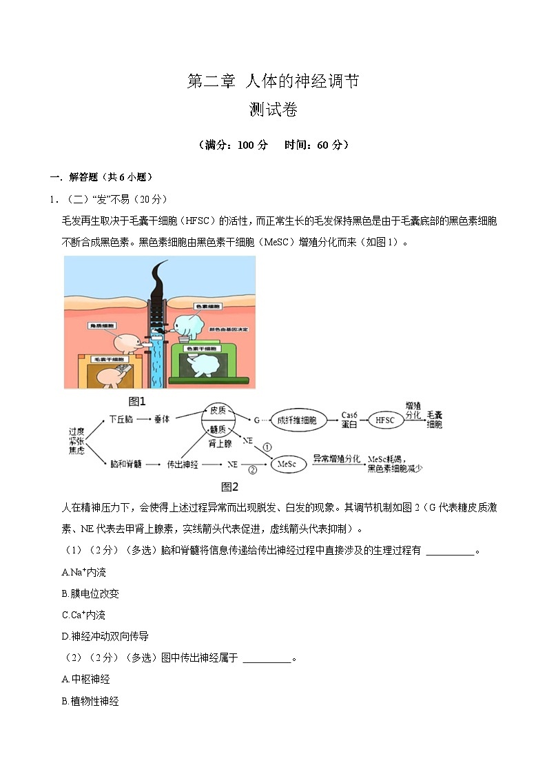 【沪科技版】生物选修一 第2章 人体的神经调节（章末测试+知识清单）01