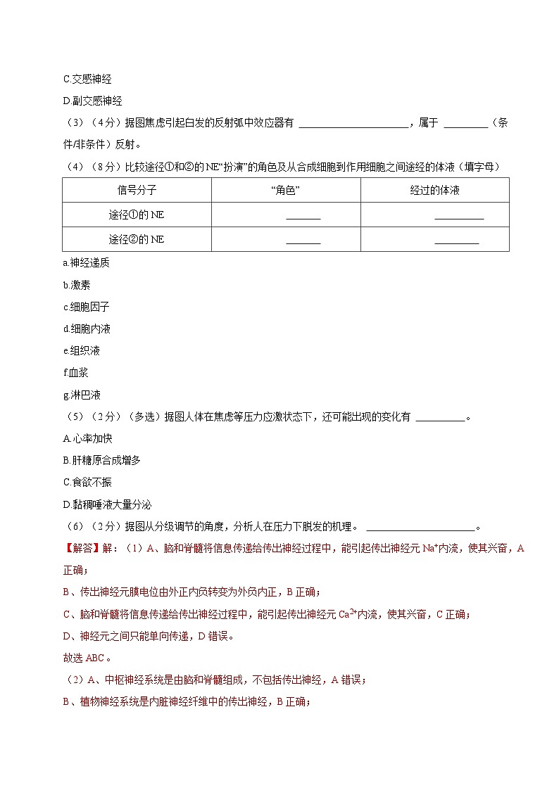 【沪科技版】生物选修一 第2章 人体的神经调节（章末测试+知识清单）02