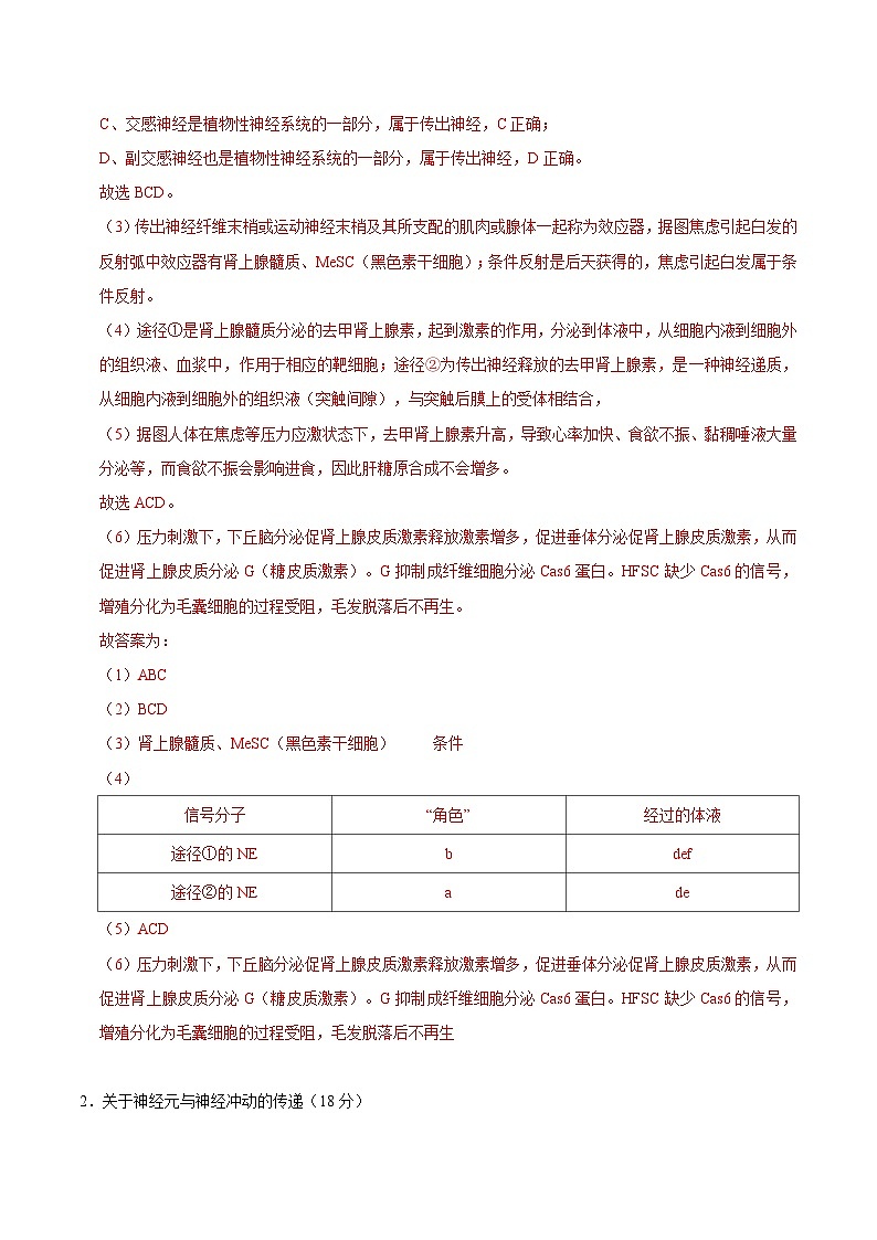 【沪科技版】生物选修一 第2章 人体的神经调节（章末测试+知识清单）03