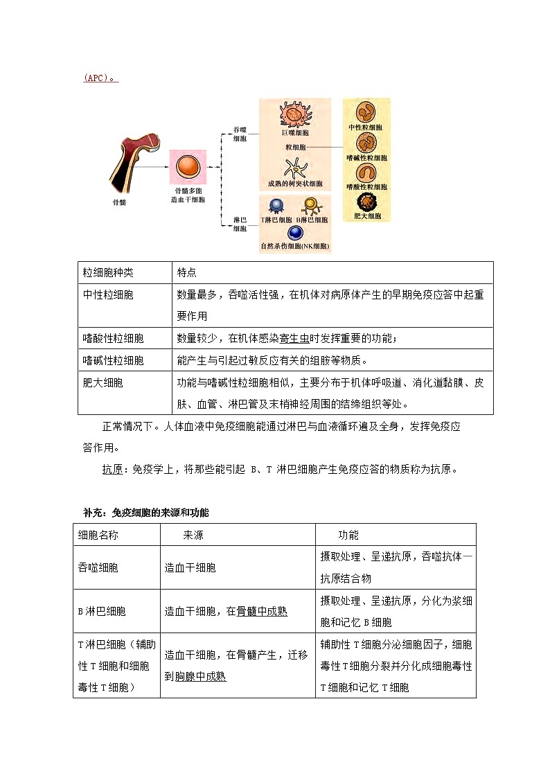 第4章 免疫调节-必背知识清单第2页
