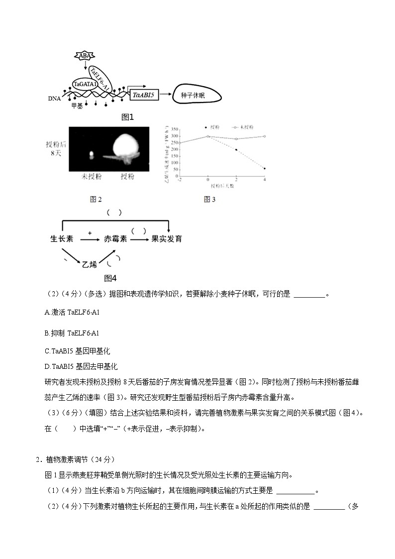 【沪科技版】生物选修一 第5章 植物生命活动的调节（章末测试+知识清单）02