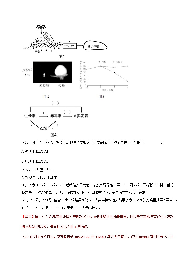 【沪科技版】生物选修一 第5章 植物生命活动的调节（章末测试+知识清单）02
