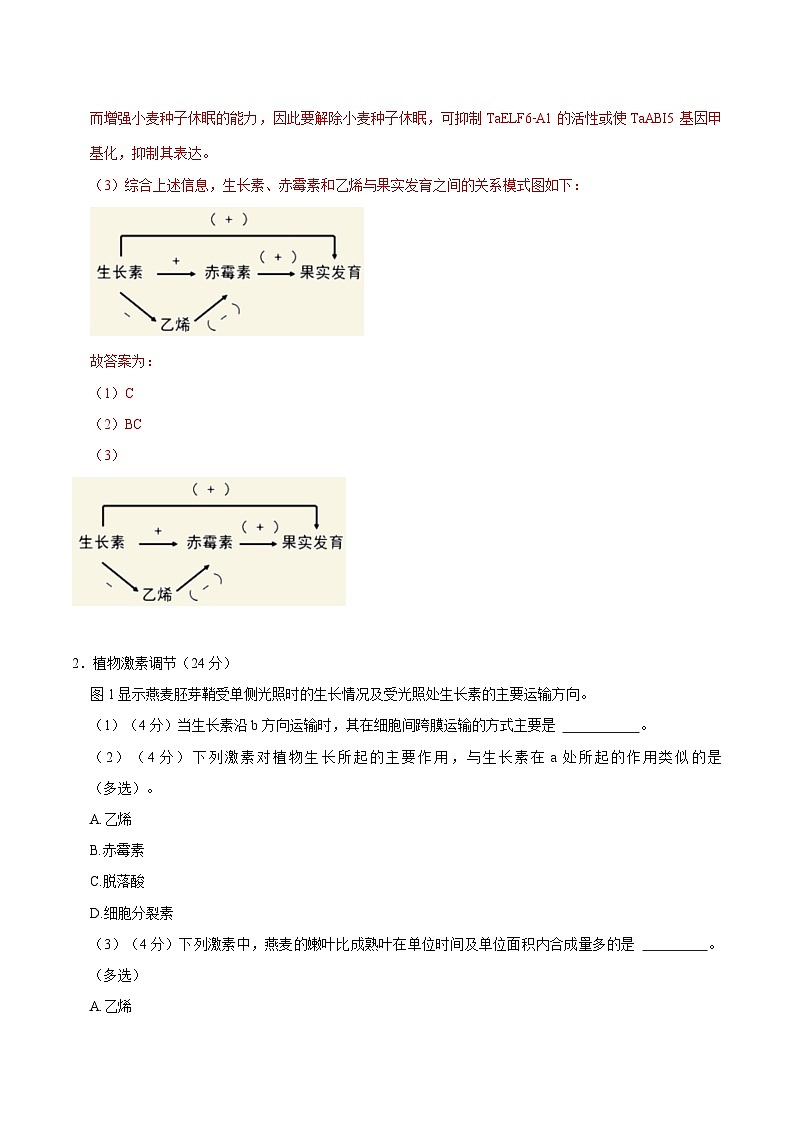 【沪科技版】生物选修一 第5章 植物生命活动的调节（章末测试+知识清单）03