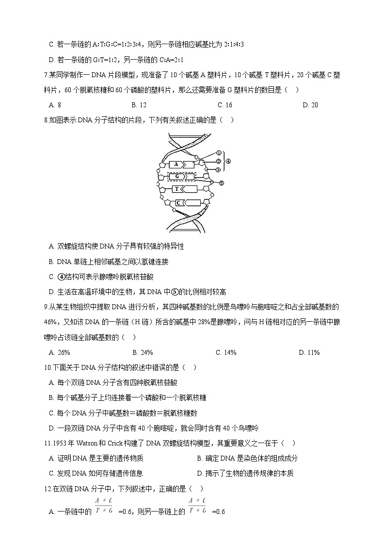 高中生物 人教版 (2019)  必修二同步练习3.2DNA的结构 同步练习（含解析）第2页