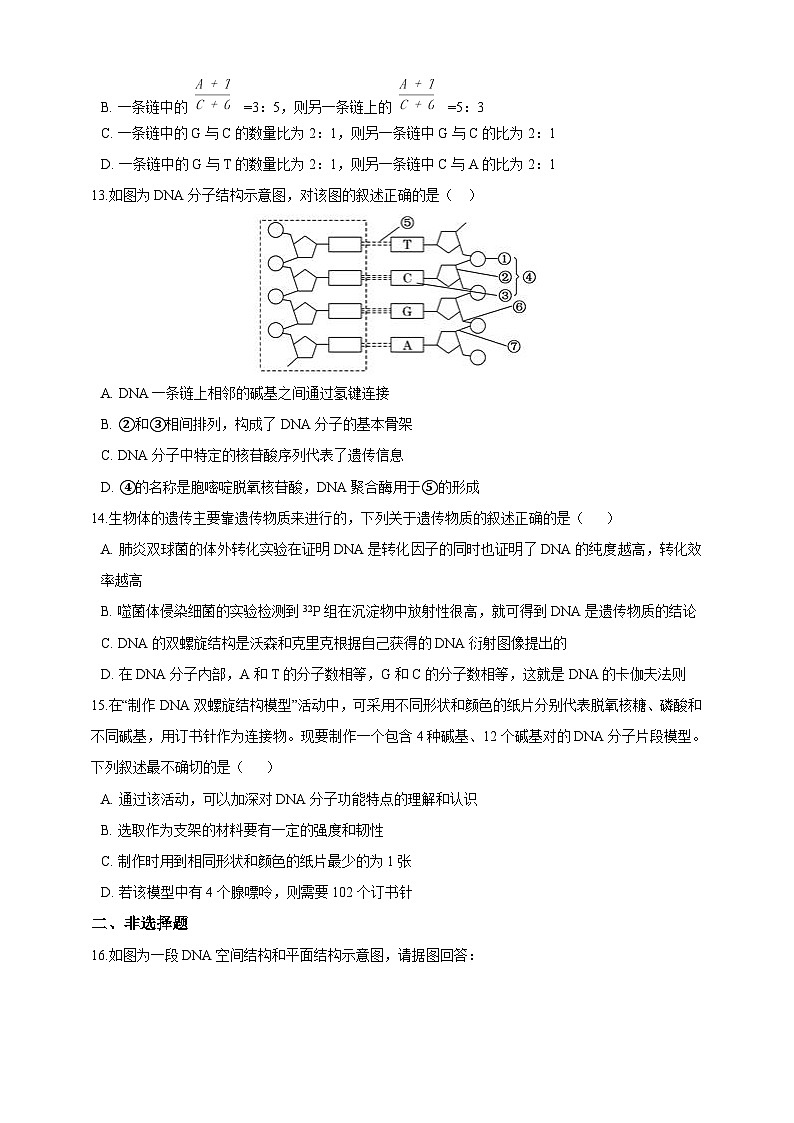 高中生物 人教版 (2019)  必修二同步练习3.2DNA的结构 同步练习（含解析）第3页