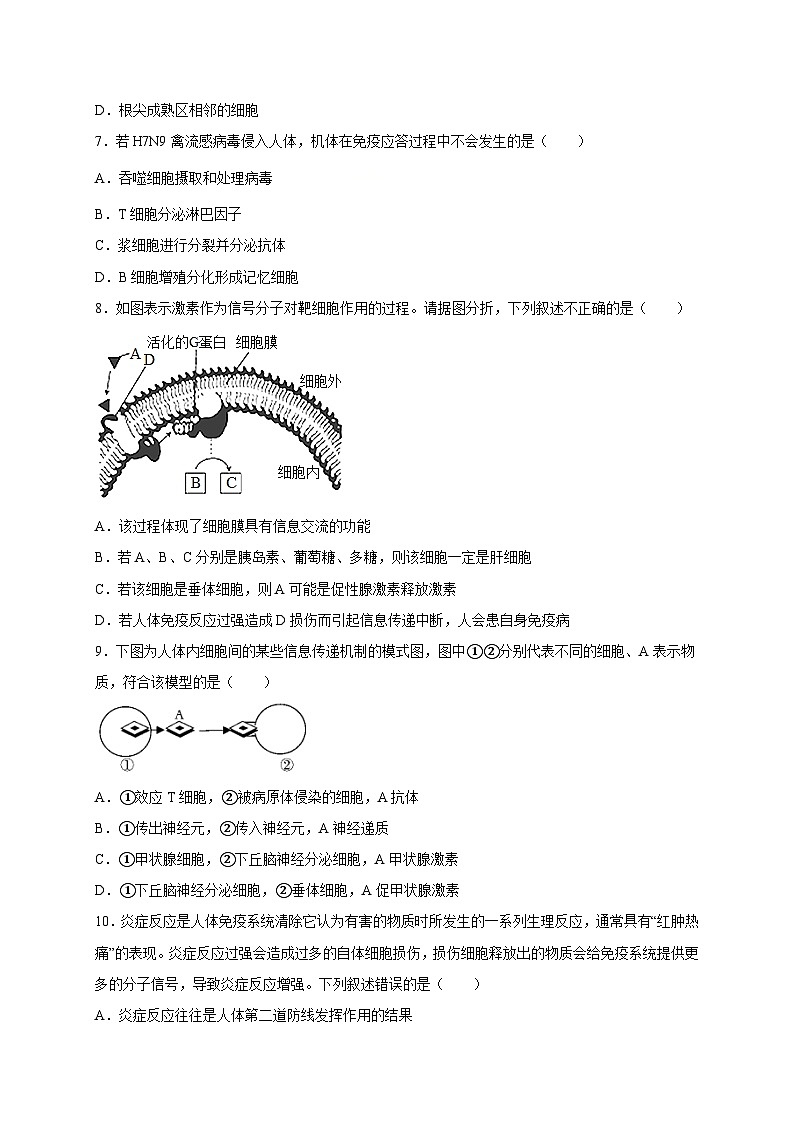 第4章 免疫调节 单元测试卷人教版（2019）高中生物选择性必修103