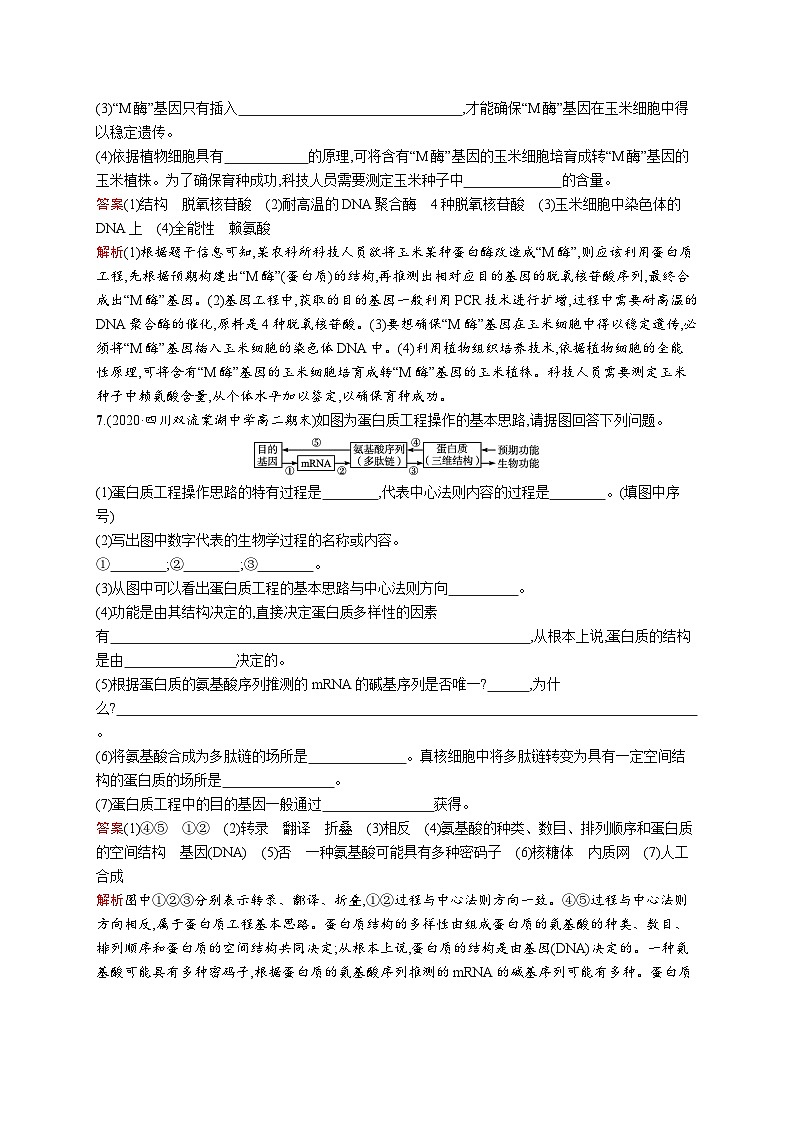 高二生物人教版2019选择性必修三同步练习第3章　第4节　蛋白质工程的原理和应用第3页