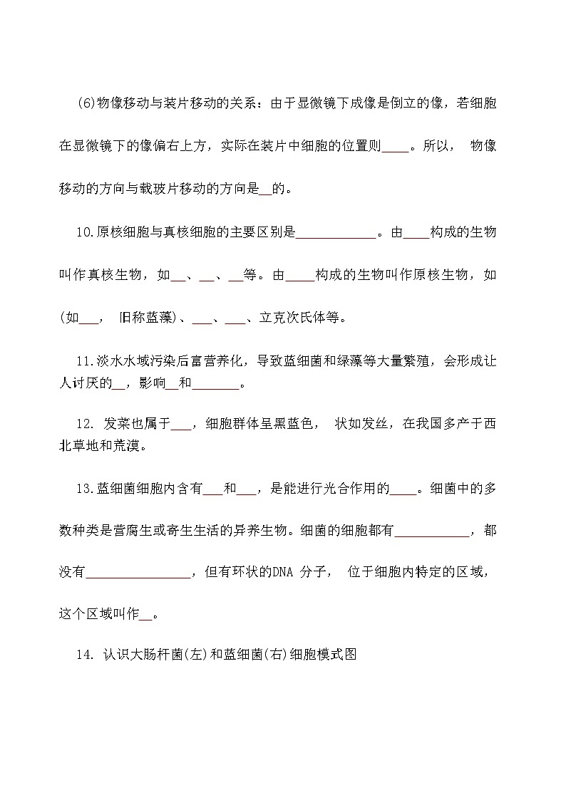 2025届高考生物一轮复习：人教版必修1《分子与细胞》知识考点填空练习题（含答案）第3页