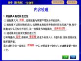 浙科版高中生物必修1第二节　细胞膜控制细胞与周围环境的联系课件PPT