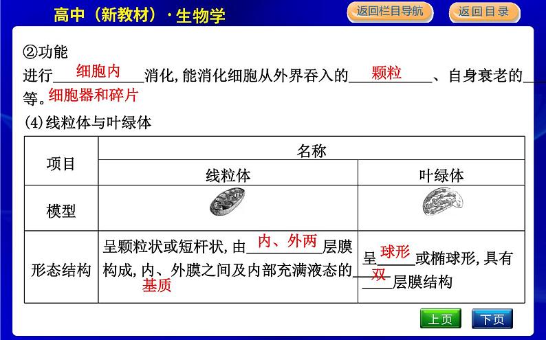 浙科版高中生物必修1第三节　细胞质是多项生命活动的场所课件PPT08